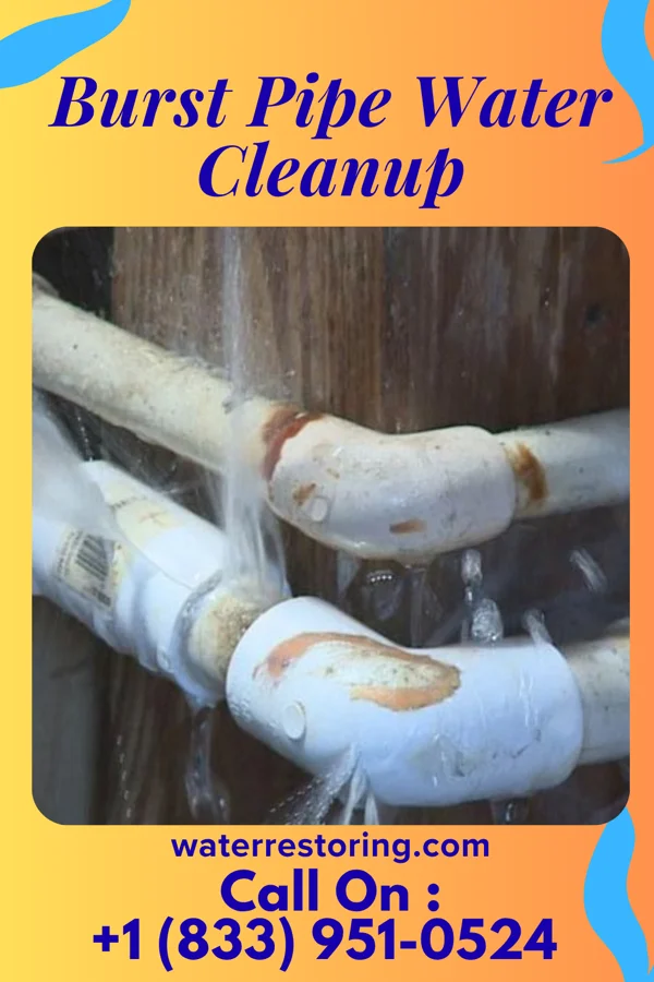 Burst Pipe Water Cleanup in Kaloko, HI