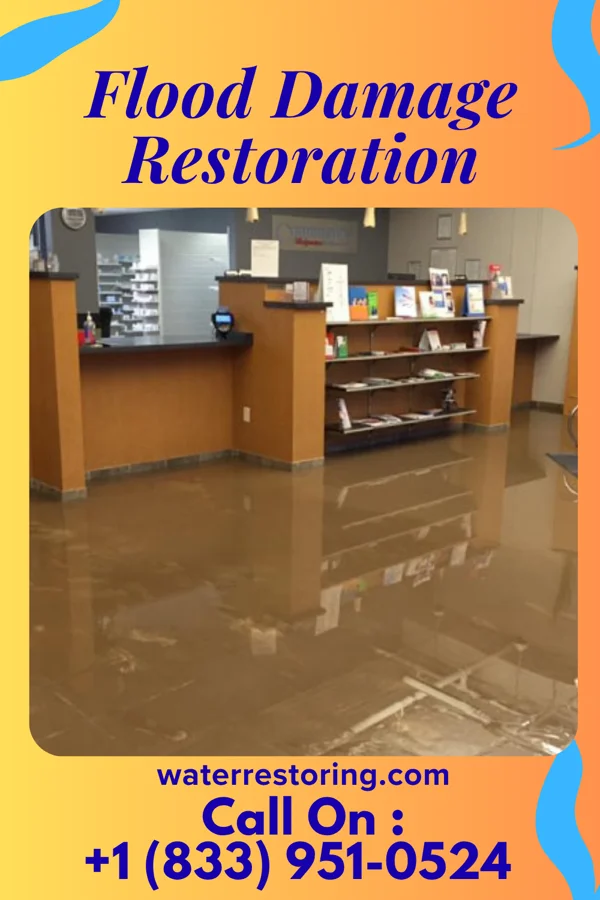 Flood Damage Restoration in Kaloko, HI