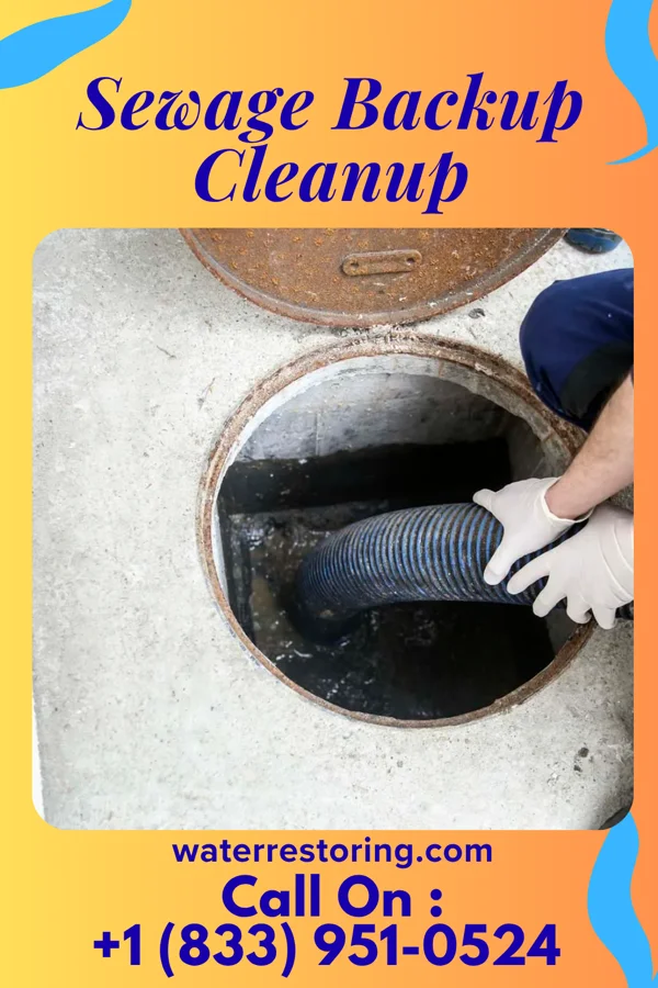 Sewage Backup Cleanup in Kaloko, HI