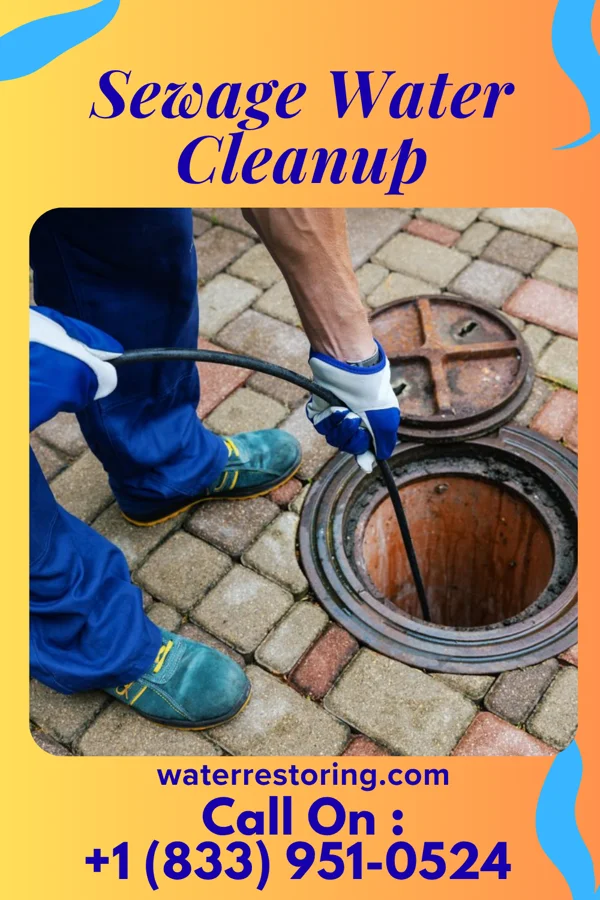 Sewage Water Cleanup in Kaloko, HI