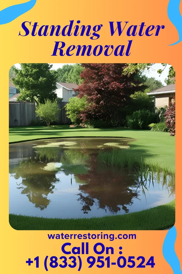 Standing Water Removal in Kaloko, HI
